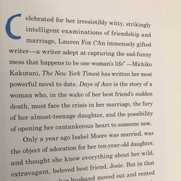 BOOK: Days of Awe by Lauren Fox (hardcover) - Picture 6 of 8